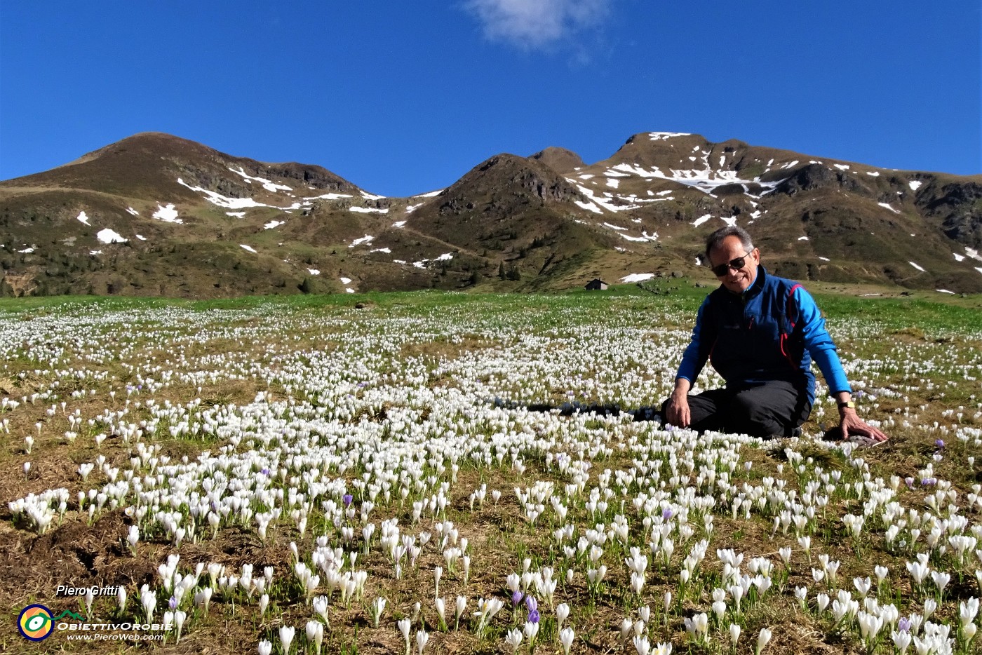 24 Dai crocus della Pigolotta a quelli dell'Avaro.JPG